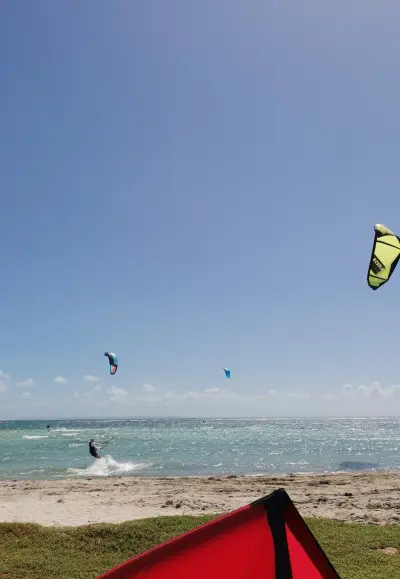 Session kitesurf et wingfoil à Sainte-Anne, Guadeloupe — photo 5
